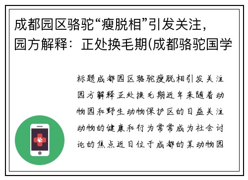 成都园区骆驼“瘦脱相”引发关注，园方解释：正处换毛期(成都骆驼国学老师简介)