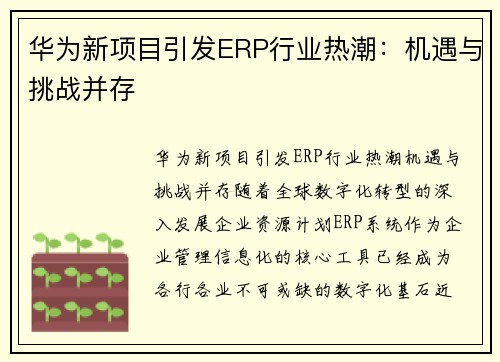 华为新项目引发ERP行业热潮：机遇与挑战并存